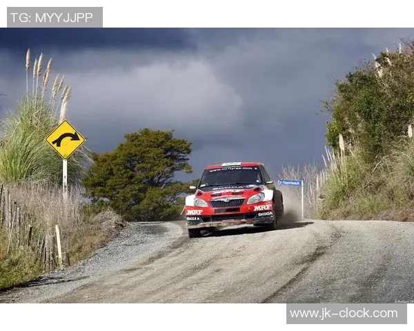 亚太百名赛车手浙江龙游深山险途比拼速度热情 亚太百名赛车手浙江龙游深山险途比拼速度热情